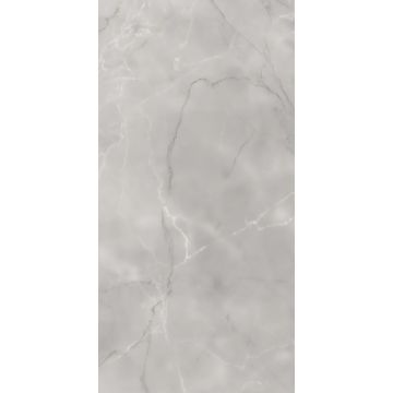 Керамогранит Absolut Gres (Абсолют Грес) Armani Gris матовый 120x60 см, AB1084M