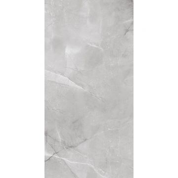 Керамогранит Absolut Gres (Абсолют Грес) Armani Silver полированный 120x60 см, AB1142G