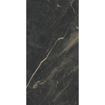 Керамогранит Absolut Gres (Абсолют Грес) Creato полированный премиум 120x60 см, AB3119G