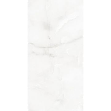 Керамогранит Absolut Gres (Абсолют Грес) Mistery Onix Grey полированный 120x60 см, AB1011G