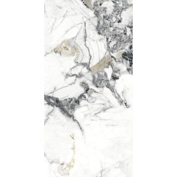 Керамогранит Absolut Gres (Абсолют Грес) Ambassador полированный премиум 120x60 см, AB3102G