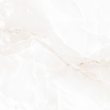 Керамогранит Absolut Gres Onix Mapple полированный 60x60 см, AB1021G Керамогранит Absolut Gres Onix Mapple полированный 60x60 см, AB1021G