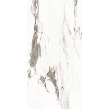 Керамогранит Absolut Gres (Абсолют Грес) Primo полированный 120x60 см, AB3126 G