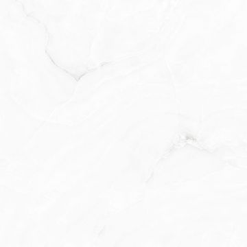 Керамогранит Absolut Gres (Абсолют Грес) Profitland Bianco полированный 60x60 см, AB1022G