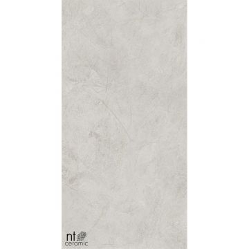 Керамогранит NT Ceramic (Нт Керамик) Granite Obelisk Ash 60х120 см, NTT99612L