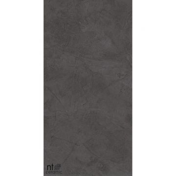 Керамогранит NT Ceramic (Нт Керамик) Granite Obelisk Gris 60х120 см, NTT99615L