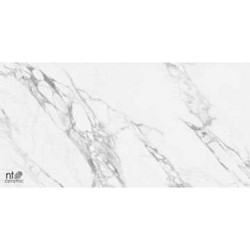 Керамогранит NT Ceramic (Нт Керамик) Marmo Artic statuario Glossy 60х120 см, глянцевый, NTT99528P