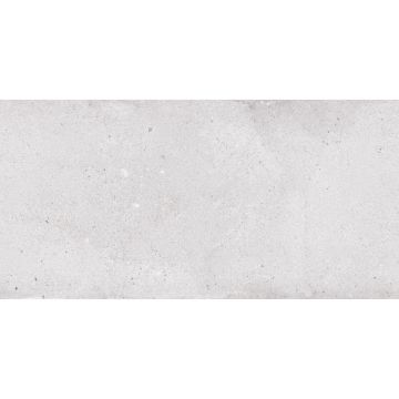 Керамогранит NT Ceramic (Нт Керамик) Rockstar Venice Matt 60х120 см, NTTVL99825M