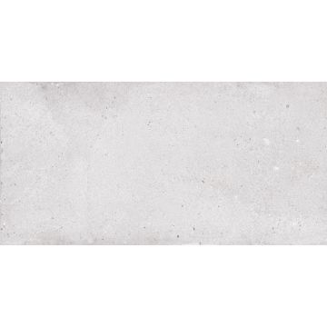 Керамогранит NT Ceramic (Нт Керамик) Rockstar Venice Matt 60х120 см, NTTVL99825M