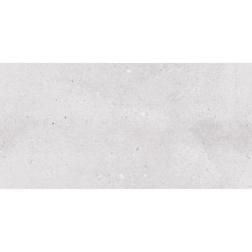 Керамогранит NT Ceramic (Нт Керамик) Rockstar Venice Matt 60х120 см, NTTVL99825M