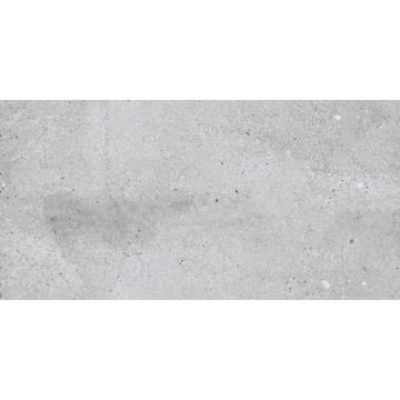 Керамогранит NT Ceramic (Нт Керамик) Rockstar NEW York Matt 60х120 см, NTTVL99826M