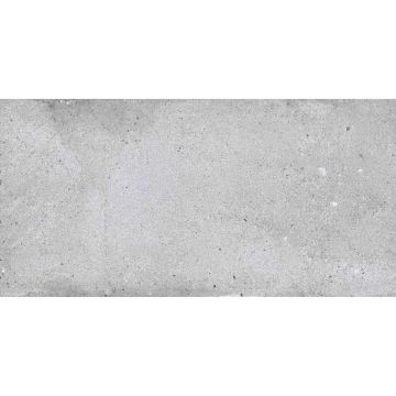 Керамогранит NT Ceramic (Нт Керамик) Rockstar NEW York Matt 60х120 см, NTTVL99826M