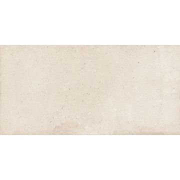 Керамогранит NT Ceramic (Нт Керамик) Rockstar Detroit Matt 60х120 см, NTTVL99827M