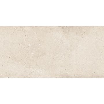 Керамогранит NT Ceramic (Нт Керамик) Rockstar Detroit Matt 60х120 см, NTTVL99827M