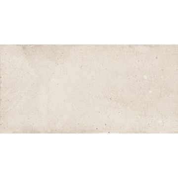 Керамогранит NT Ceramic (Нт Керамик) Rockstar Detroit Matt 60х120 см, NTTVL99827M