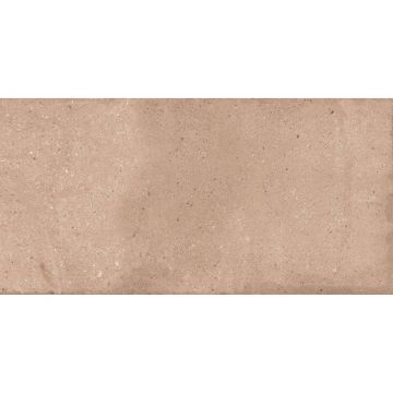 Керамогранит NT Ceramic (Нт Керамик) Rockstar Delhi Matt 60х120 см, NTTVL99828M