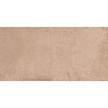 Керамогранит NT Ceramic (Нт Керамик) Rockstar Delhi Matt 60х120 см, NTTVL99828M