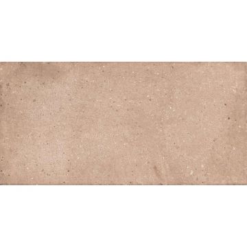 Керамогранит NT Ceramic (Нт Керамик) Rockstar Delhi Matt 60х120 см, NTTVL99828M