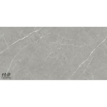 Керамогранит NT Ceramic (Нт Керамик) Pietra NTT1102 60х120 см