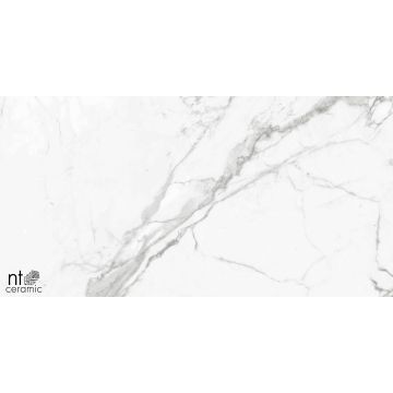 Керамогранит NT Ceramic (Нт Керамик) Bright and Shiny NTT9100 60х60 см