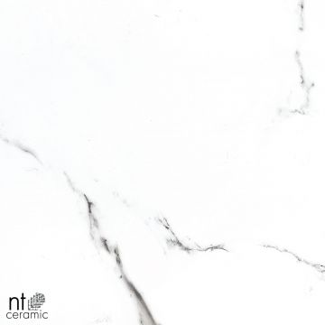 Керамогранит NT Ceramic (Нт Керамик) Bright and Shiny NTT9100 60х60 см