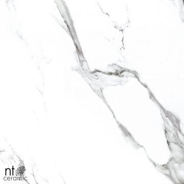 Керамогранит NT Ceramic (Нт Керамик) Bright and Shiny NTT9100 60х60 см