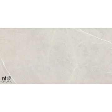 Керамогранит NT Ceramic (Нт Керамик) 60х120 NTT9101 60х120 см