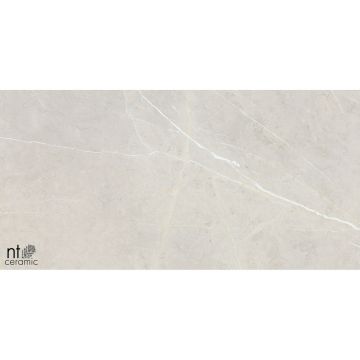 Керамогранит NT Ceramic (Нт Керамик) 60х120 NTT9101 60х120 см