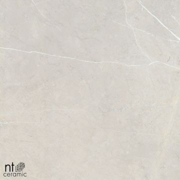 Керамогранит NT Ceramic (Нт Керамик) 60х120 NTT9101 60х60 см