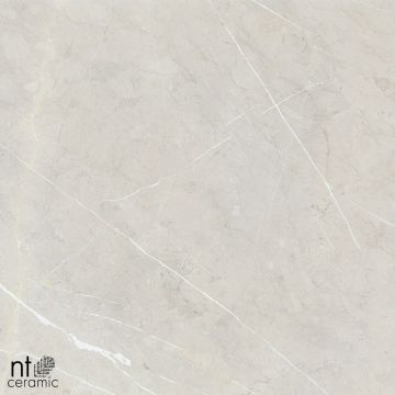 Керамогранит NT Ceramic (Нт Керамик) 60х120 NTT9101 60х60 см