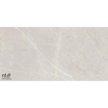 Керамогранит NT Ceramic (Нт Керамик) 60х120 NTT9101 60х60 см