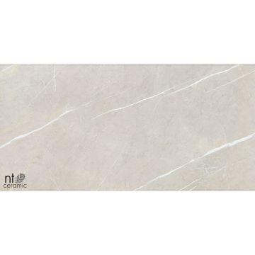 Керамогранит NT Ceramic (Нт Керамик) 60х120 NTT9101 60х60 см