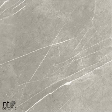 Керамогранит NT Ceramic (Нт Керамик) Bright and Shiny NTT9102 60х120 см