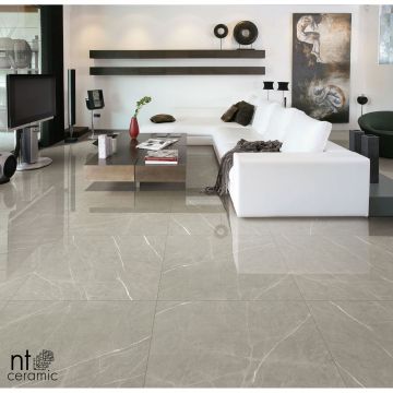 Керамогранит NT Ceramic (Нт Керамик) Bright and Shiny NTT9102 60х120 см