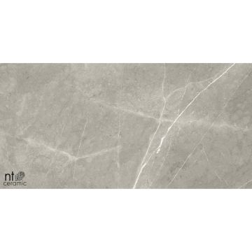 Керамогранит NT Ceramic (Нт Керамик) Bright and Shiny NTT9102 60х120 см