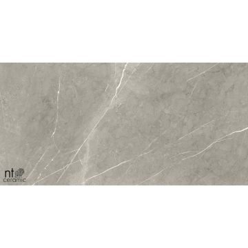 Керамогранит NT Ceramic (Нт Керамик) Bright and Shiny NTT9102 60х60 см