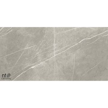 Керамогранит NT Ceramic (Нт Керамик) Bright and Shiny NTT9102 60х60 см