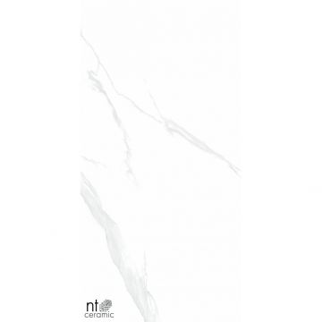 Керамогранит NT Ceramic (Нт Керамик) Bright and Shiny NTT9106 Statuario 60х120 см