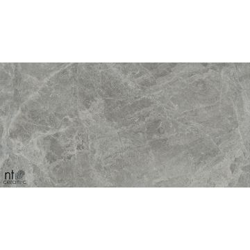 Керамогранит NT Ceramic (Нт Керамик) Bright and Shiny NTT9119M Tundra Grey mat 60х120 см