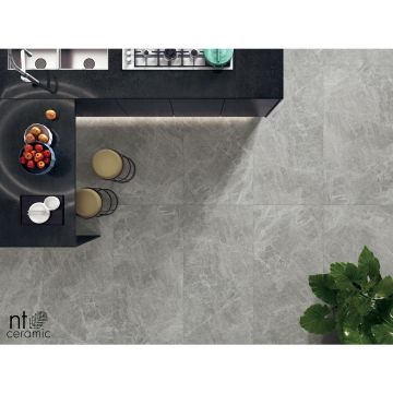 Керамогранит NT Ceramic (Нт Керамик) Bright and Shiny NTT9119M Tundra Grey mat 60х120 см