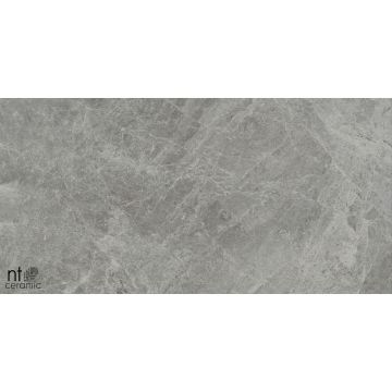Керамогранит NT Ceramic (Нт Керамик) Bright and Shiny NTT9119M Tundra Grey mat 60х120 см