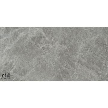 Керамогранит NT Ceramic (Нт Керамик) Bright and Shiny NTT9119M Tundra Grey mat 60х120 см
