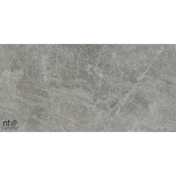 Керамогранит NT Ceramic (Нт Керамик) Bright and Shiny NTT9119M Tundra Grey mat 60х120 см