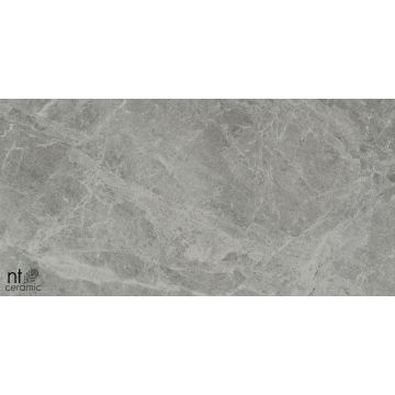 Керамогранит NT Ceramic (Нт Керамик) Bright and Shiny NTT9119M Tundra Grey mat 60х120 см