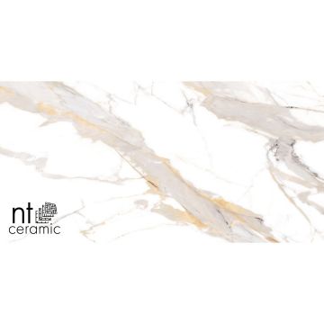 Керамогранит NT Ceramic (Нт Керамик) Bright and Shiny NTT9120M Calacatta Light Grey mat 60х120 см