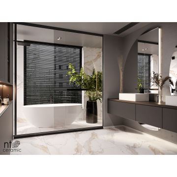 Керамогранит NT Ceramic (Нт Керамик) Bright and Shiny NTT9120M Calacatta Light Grey mat 60х120 см