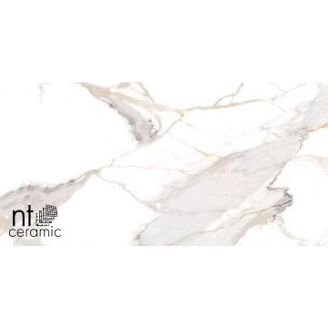 Керамогранит NT Ceramic (Нт Керамик) Bright and Shiny NTT9120M Calacatta Light Grey mat 60х120 см
