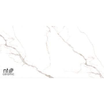 Керамогранит NT Ceramic (Нт Керамик) Bright and Shiny NTT9122M Barbara White mat 60х120 см