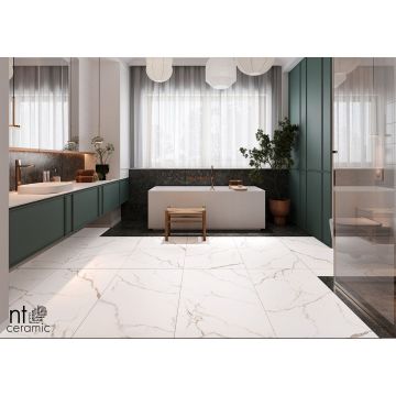 Керамогранит NT Ceramic (Нт Керамик) Bright and Shiny NTT9122M Barbara White mat 60х120 см