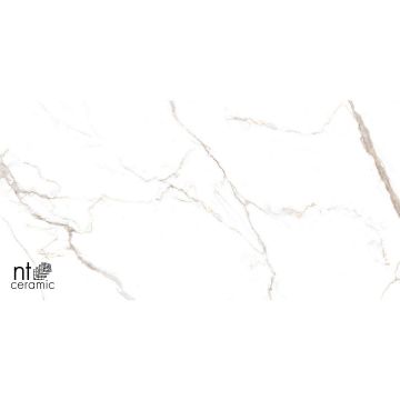 Керамогранит NT Ceramic (Нт Керамик) Bright and Shiny NTT9122M Barbara White mat 60х120 см